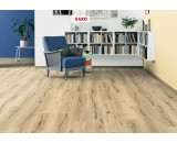 Ламинат Haro Дуб Италика Крем Tritty 100 Campus 4V тиснение дерева 532060 32-класс, фаска-4V, 1282x243x8мм