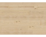 Ламинат ter Hurne T06 Дуб Студия 1911 1101020896 32-класс, фаска-4V, 1286x243x8мм