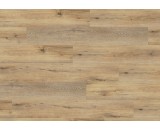 Плитка ПВХ Wineo 400 Wood XL Joy Oak Tender тиснение в регистр DLC00126 31-класс, микрофаска, 1507x235x4.5мм