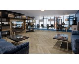 Кварцевый ламинат Damy Floor Chevron Версаль DF01-Ch 43-класс, фаска-4V, елочкой, 600x127x5мм