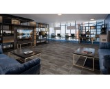 Кварцевый ламинат Damy Floor Ascent Strong Вайсхорн К3053-3-ST 43-класс, фаска-4V, 610x305x5мм