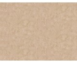 Обои Fipar Diva R11811