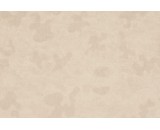 Обои Fipar Meteora R24128