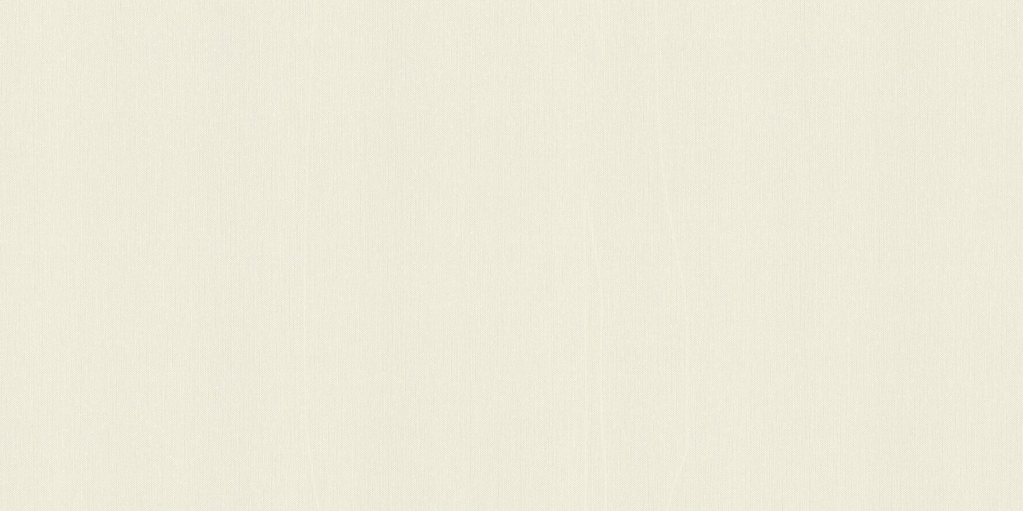 Обои Rasch 960747 Wall Textures XL vol.2 (GUS), 1.06м 4000441960747