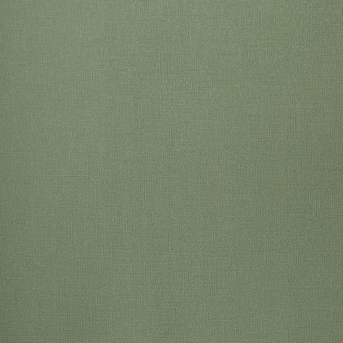 Обои Andrea Rossi Palmaria 54463-12 Обои Andrea Rossi Palmaria 54463-12