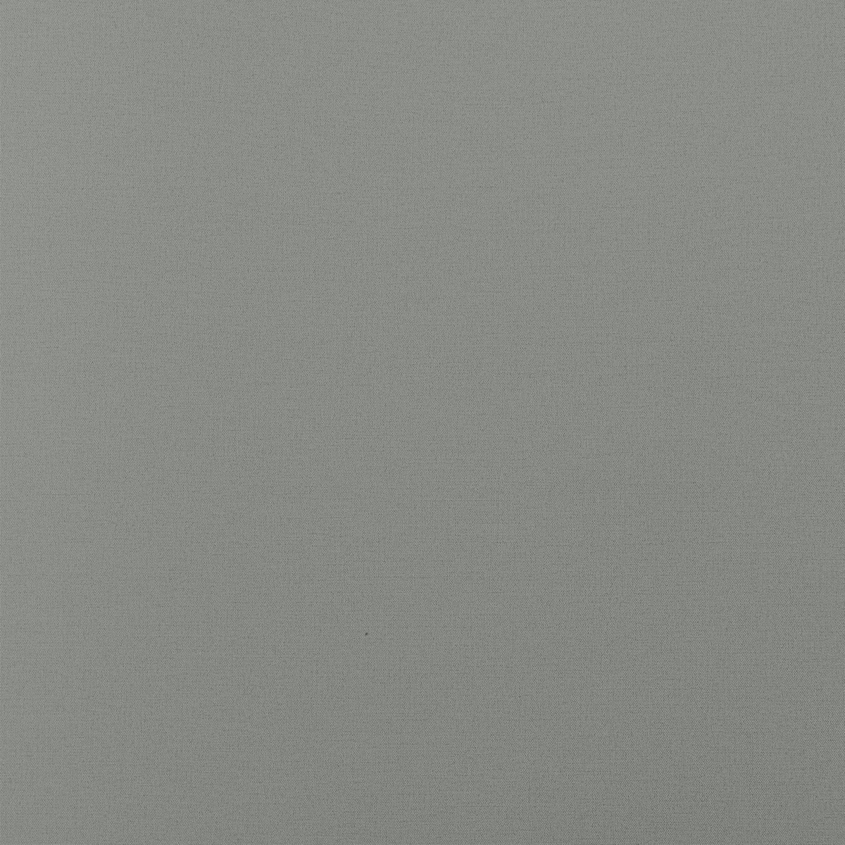 Обои Andrea Rossi Cavolli 54416-10 Обои Andrea Rossi Cavolli 54416-10