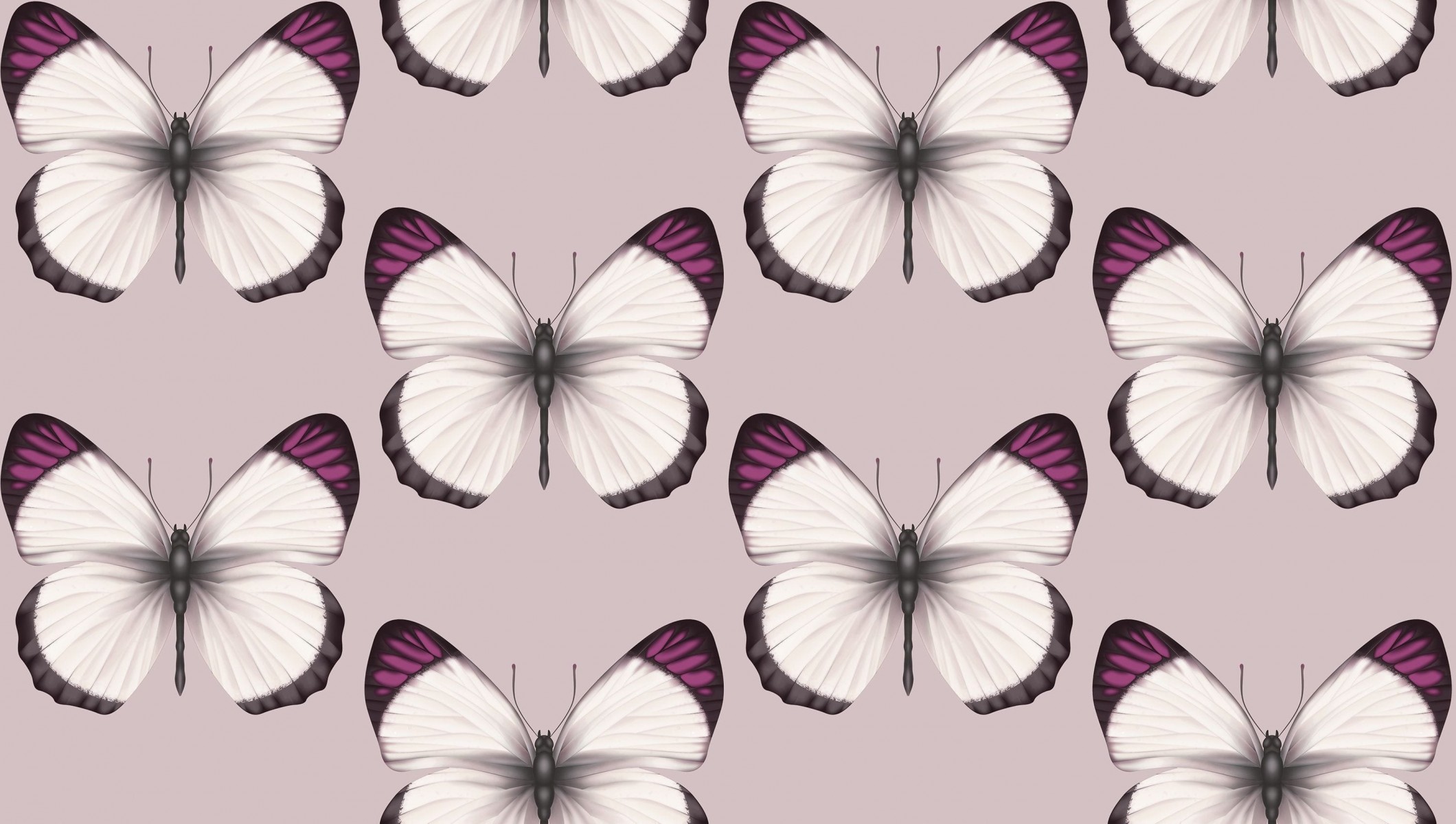 Обои Andrea Rossi Cheradi 54401-7 Обои Andrea Rossi Cheradi 54401-7