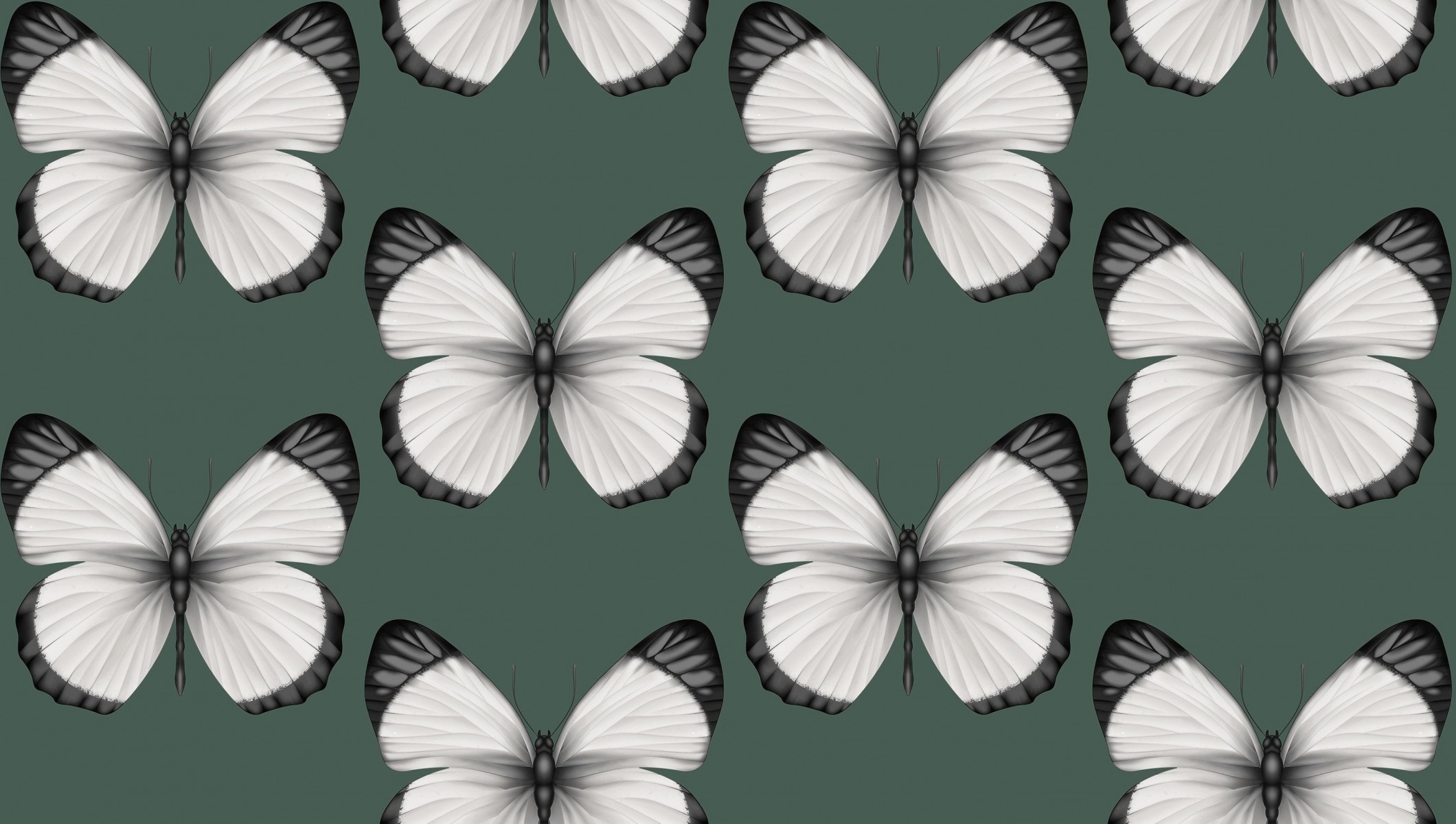 Обои Andrea Rossi Cheradi 54401-5 Обои Andrea Rossi Cheradi 54401-5