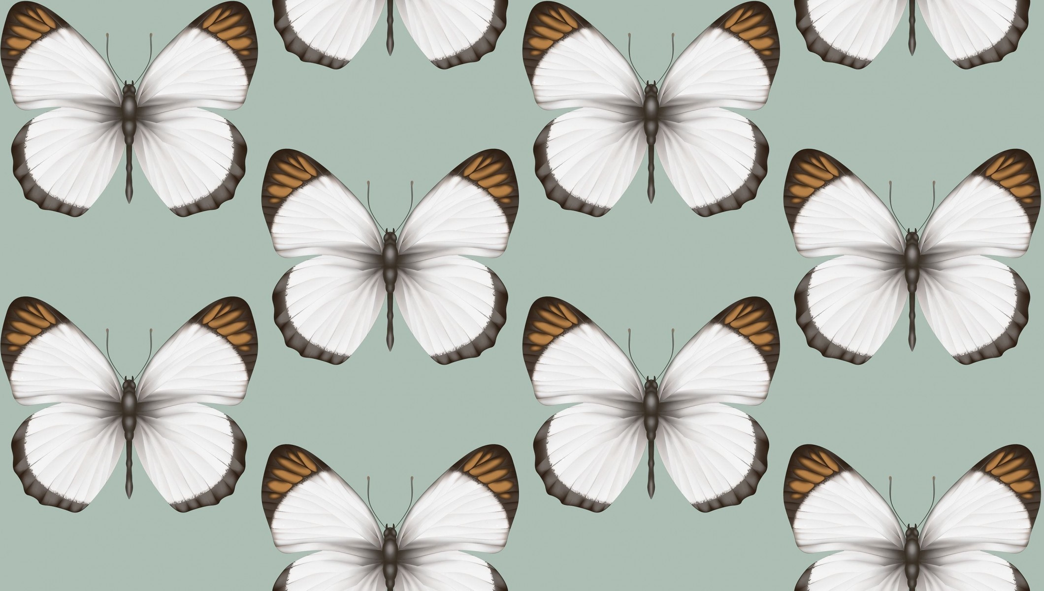 Обои Andrea Rossi Cheradi 54401-4 Обои Andrea Rossi Cheradi 54401-4