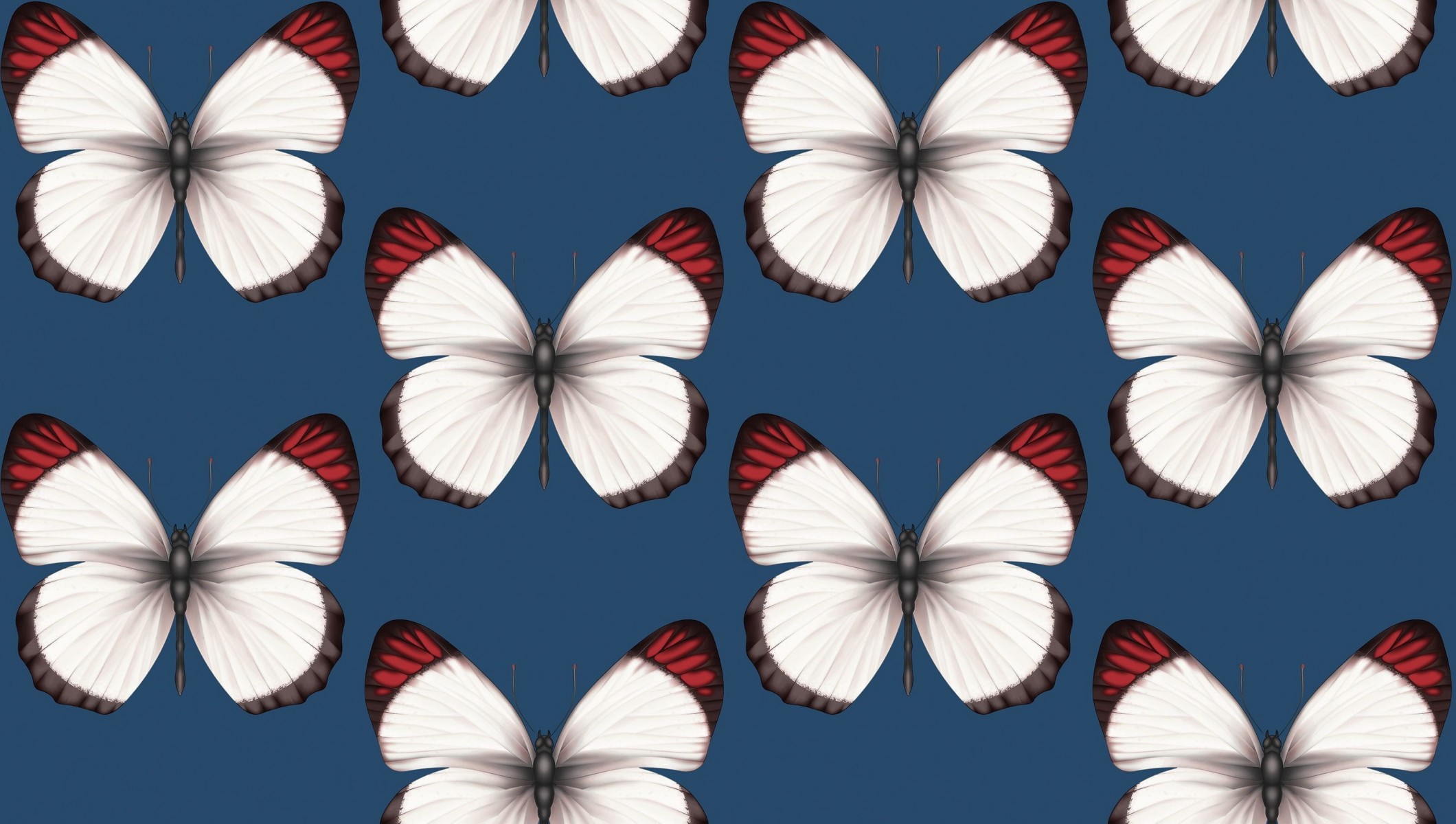 Обои Andrea Rossi Cheradi 54401-8 Обои Andrea Rossi Cheradi 54401-8