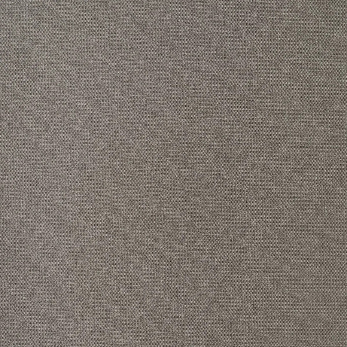 Обои Andrea Rossi Palmaria 54469-11 Обои Andrea Rossi Palmaria 54469-11