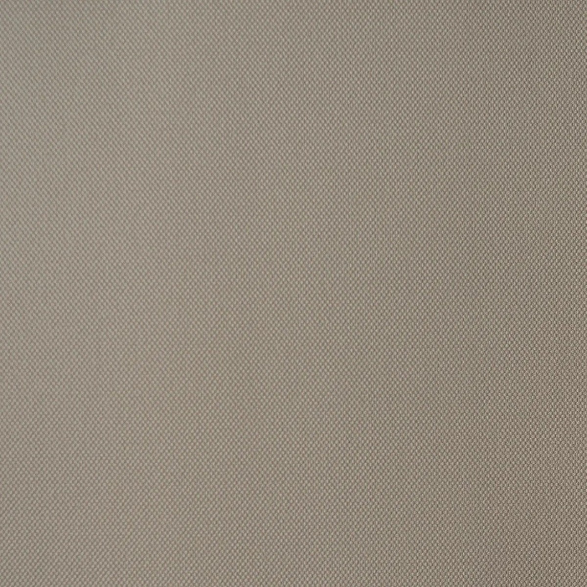 Обои Andrea Rossi Palmaria 54469-13 Обои Andrea Rossi Palmaria 54469-13