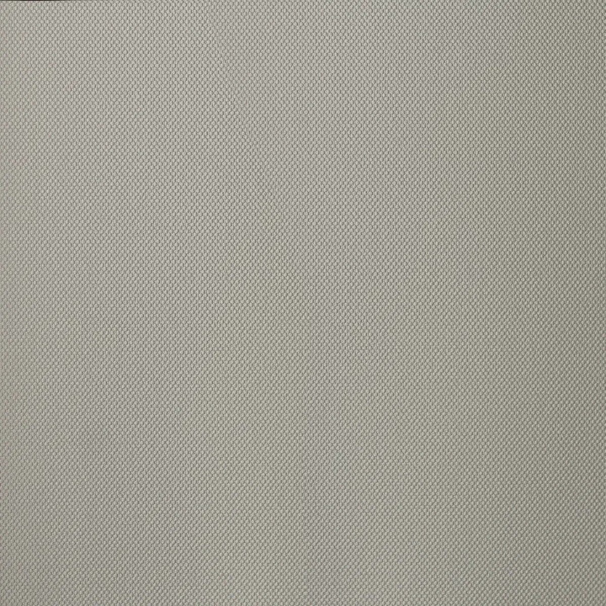 Обои Andrea Rossi Palmaria 54469-6 Обои Andrea Rossi Palmaria 54469-6