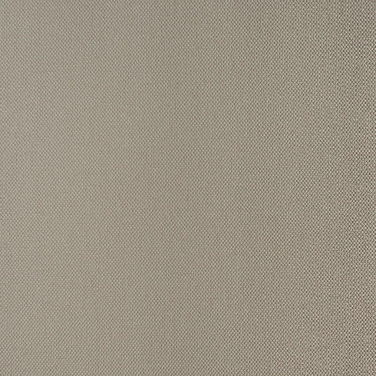 Обои Andrea Rossi Palmaria 54469-10 Обои Andrea Rossi Palmaria 54469-10