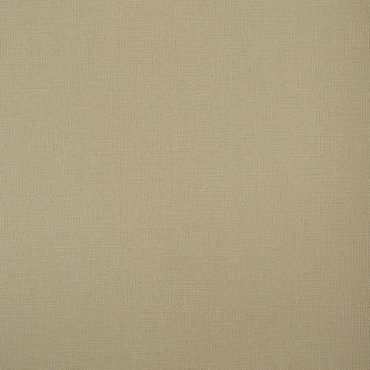 Обои Andrea Rossi Palmaria 54461-6 Обои Andrea Rossi Palmaria 54461-6