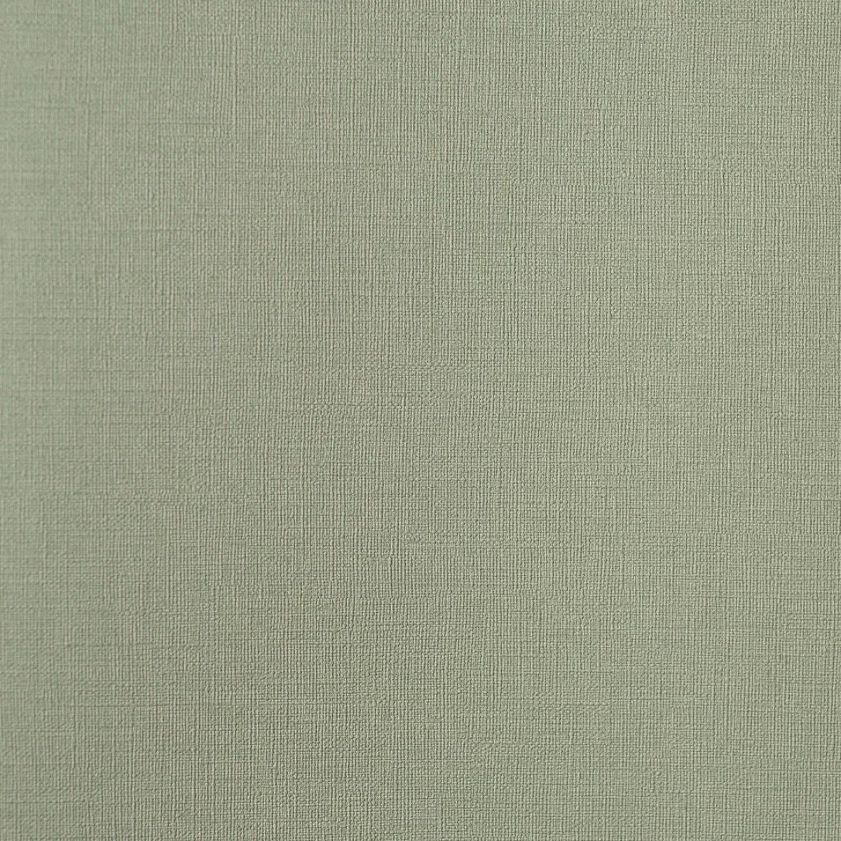 Обои Andrea Rossi Palmaria 54461-3 Обои Andrea Rossi Palmaria 54461-3