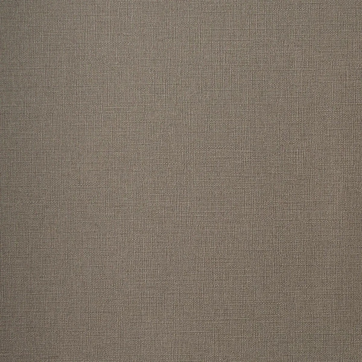 Обои Andrea Rossi Palmaria 54461-10 Обои Andrea Rossi Palmaria 54461-10