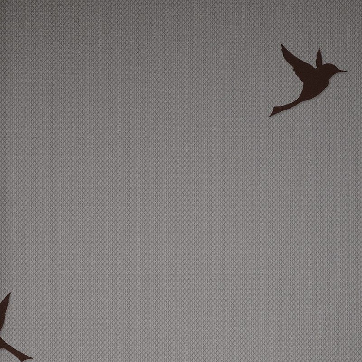 Обои Andrea Rossi Spectrum Box 54458-7 Обои Andrea Rossi Spectrum Box 54458-7