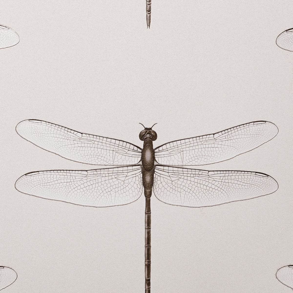 Обои Andrea Rossi Cavolli 54426-2 Обои Andrea Rossi Cavolli 54426-2