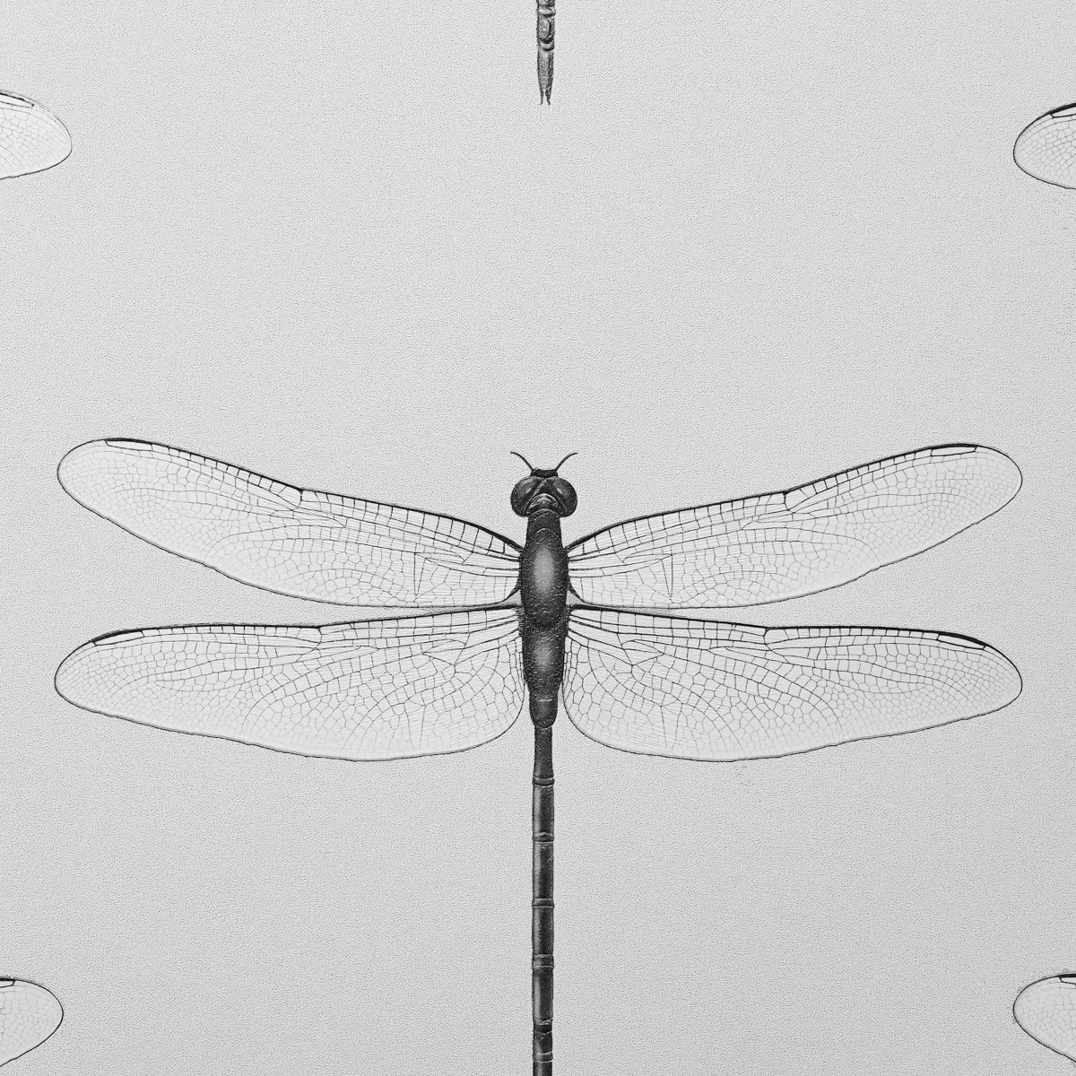 Обои Andrea Rossi Cavolli 54426-1 Обои Andrea Rossi Cavolli 54426-1