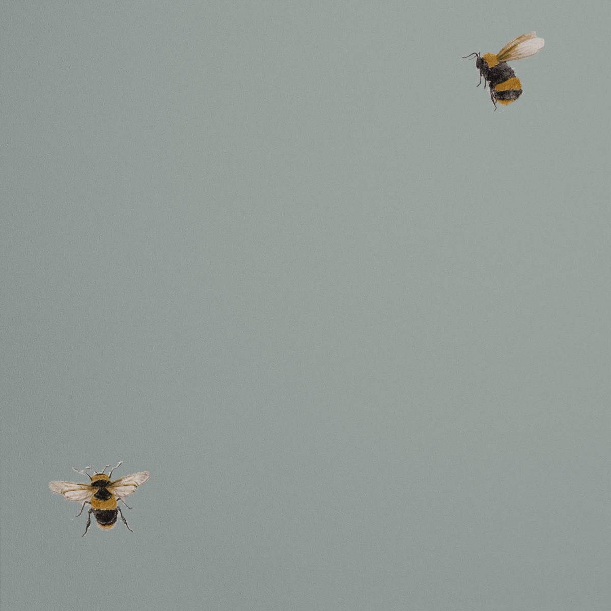 Обои Andrea Rossi Cavolli 54419-7 Обои Andrea Rossi Cavolli 54419-7