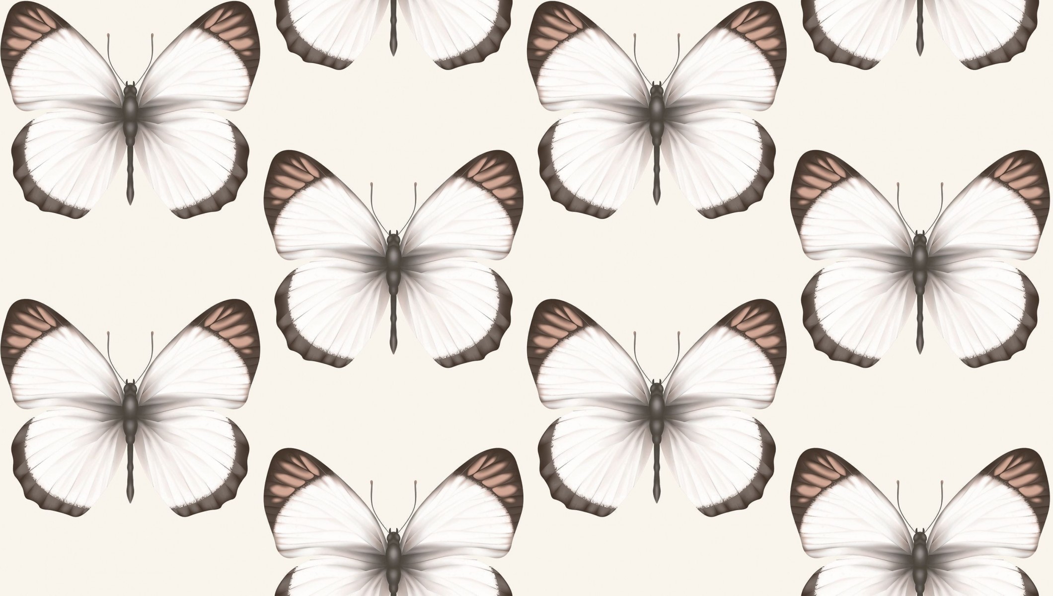 Обои Andrea Rossi Cheradi 54401-2 Обои Andrea Rossi Cheradi 54401-2