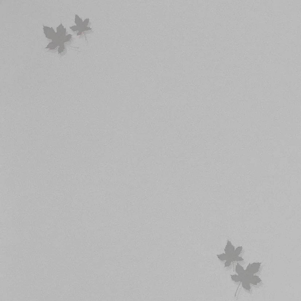 Обои Andrea Rossi Spectrum Pro 54384-4 Обои Andrea Rossi Spectrum Pro 54384-4