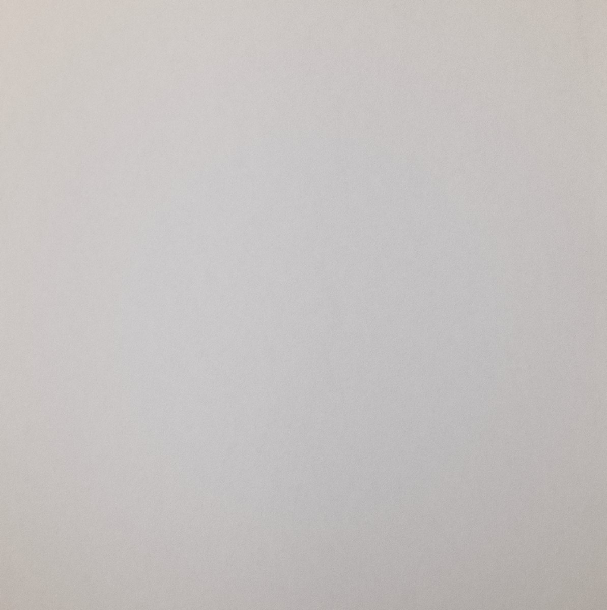 Обои Bernardo Bartalucci Coco Art 5103-8 Обои Bernardo Bartalucci Coco Art 5103-8