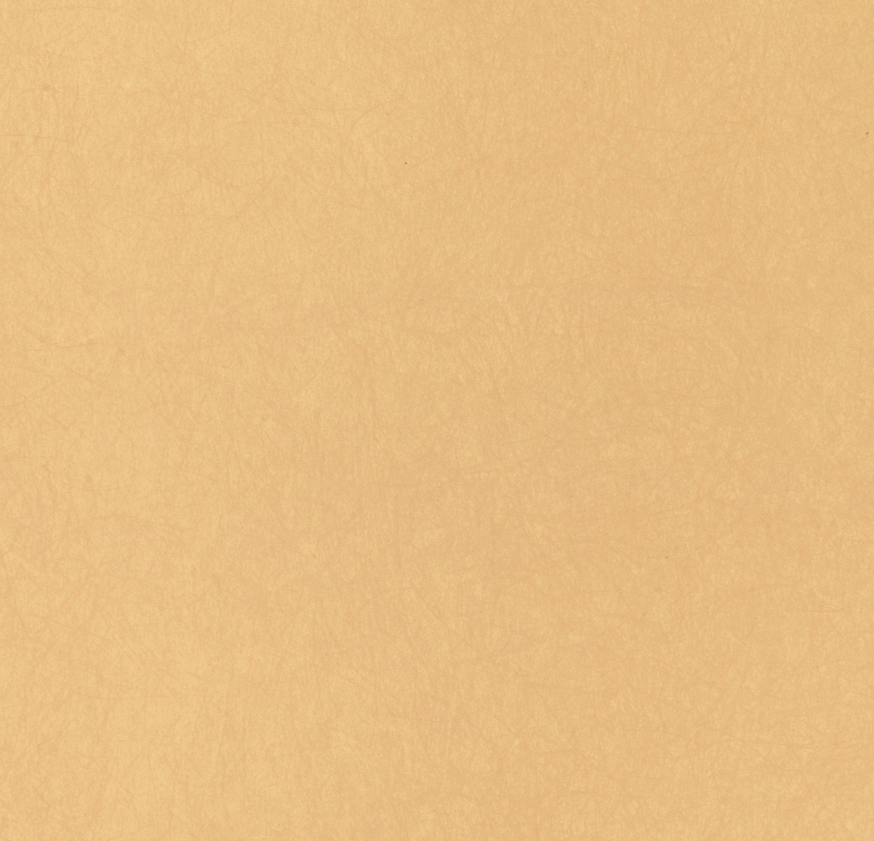 Обои Bernardo Bartalucci Legend 5068-61 Обои Bernardo Bartalucci Legend 5068-61