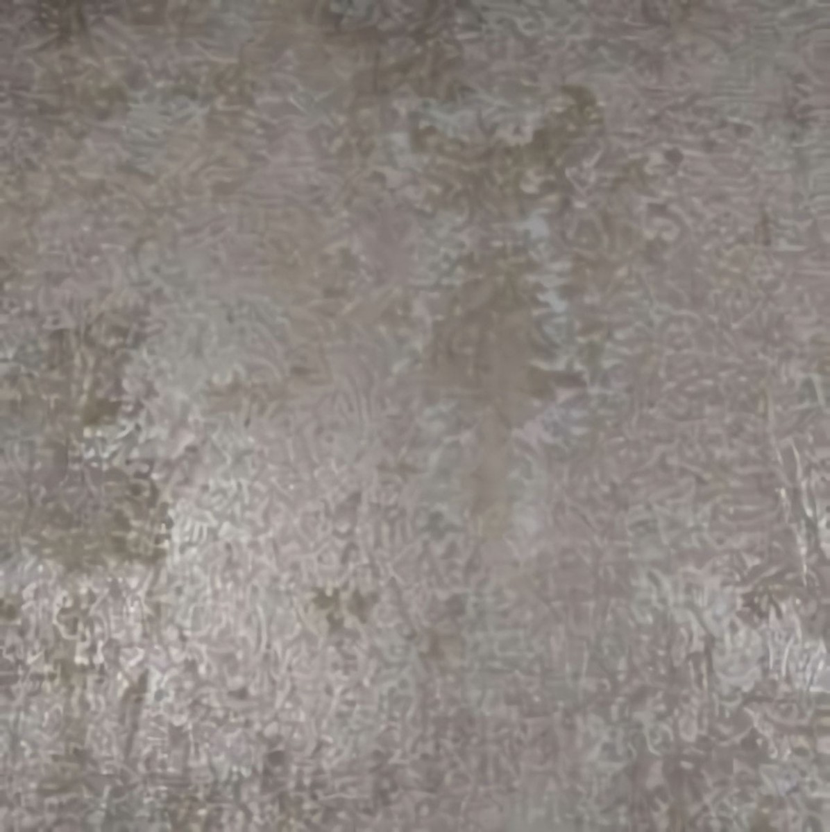 Обои Bruno Zoff Silver 60119-5 Обои Bruno Zoff Silver 60119-5