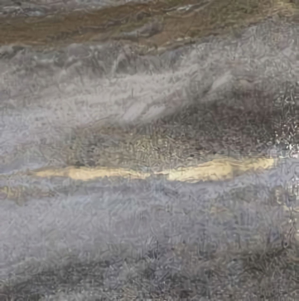 Обои Bruno Zoff Silver 60116-4 Обои Bruno Zoff Silver 60116-4