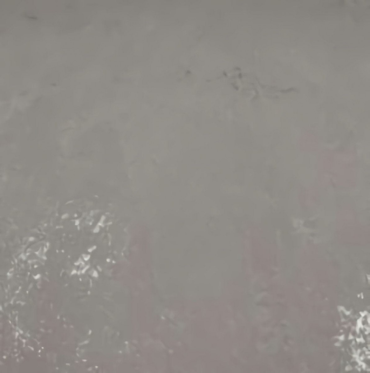 Обои Bruno Zoff Silver 60114-4 Обои Bruno Zoff Silver 60114-4