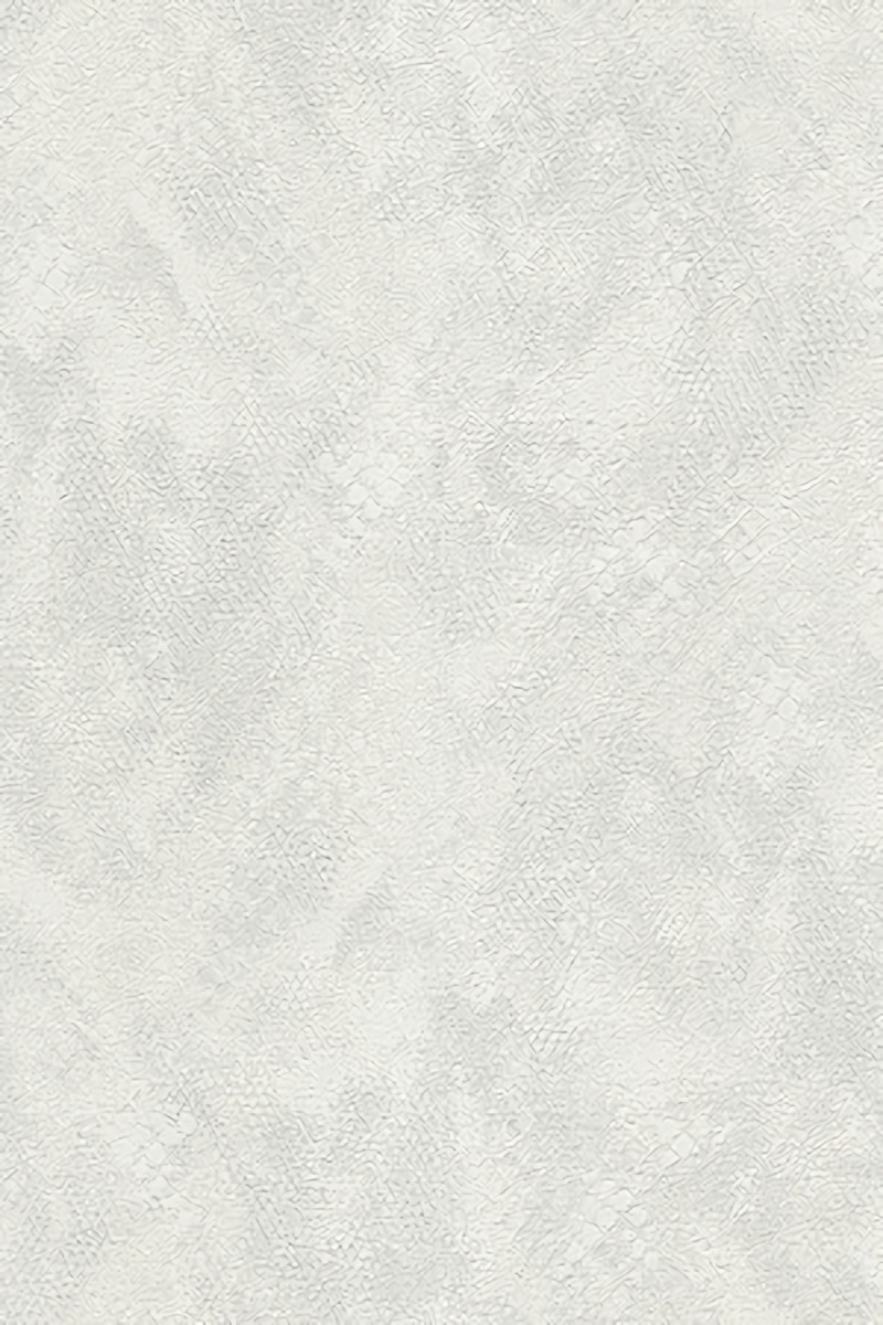 Обои Roberto Cavalli Roberto Cavalli 9 21059 Обои Roberto Cavalli Roberto Cavalli 9 21059