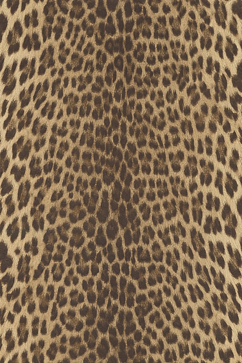 Обои Roberto Cavalli Roberto Cavalli 9 21041 Обои Roberto Cavalli Roberto Cavalli 9 21041