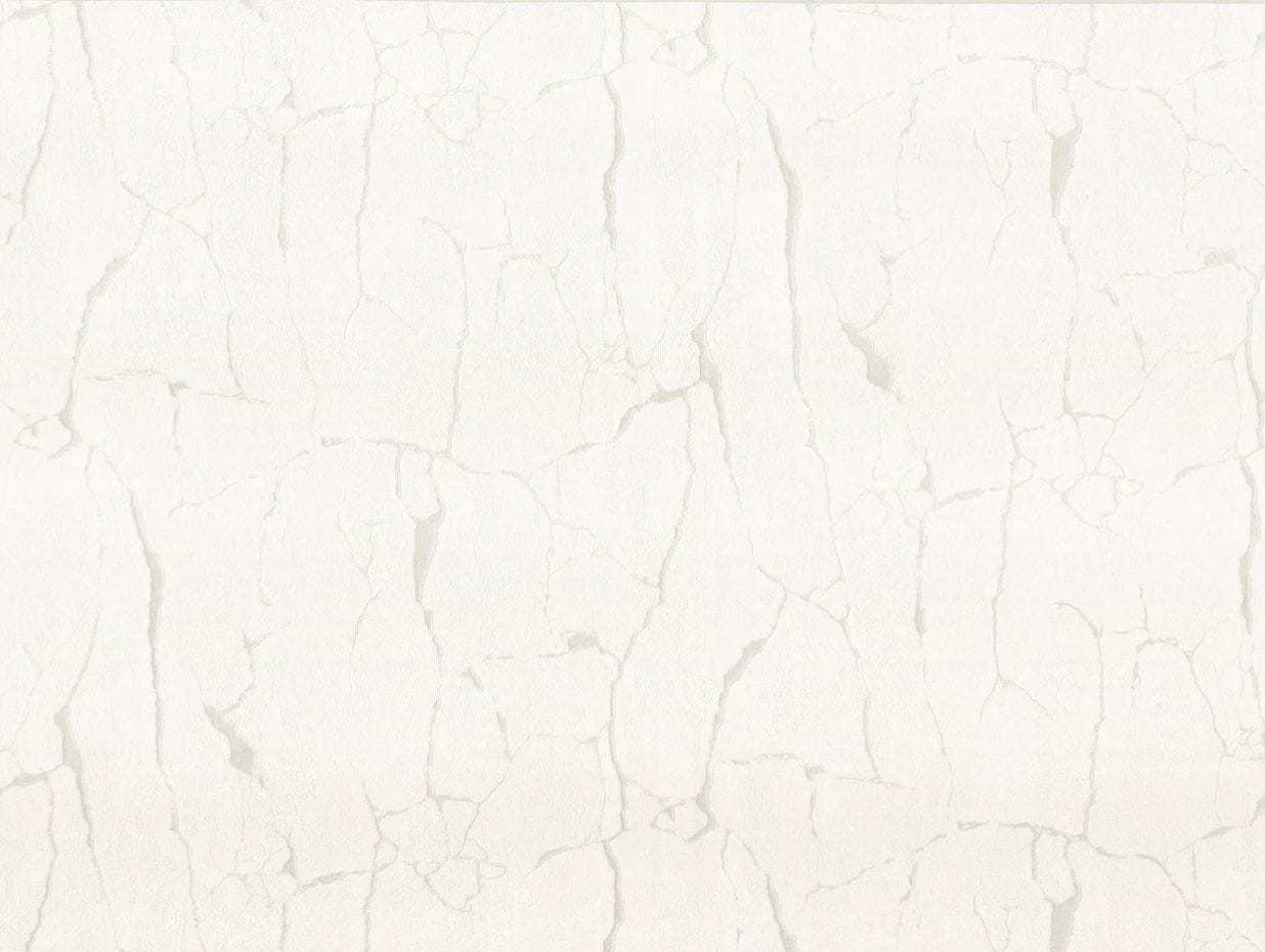 Обои Fipar Felicita R23306 Обои Fipar Felicita R23306