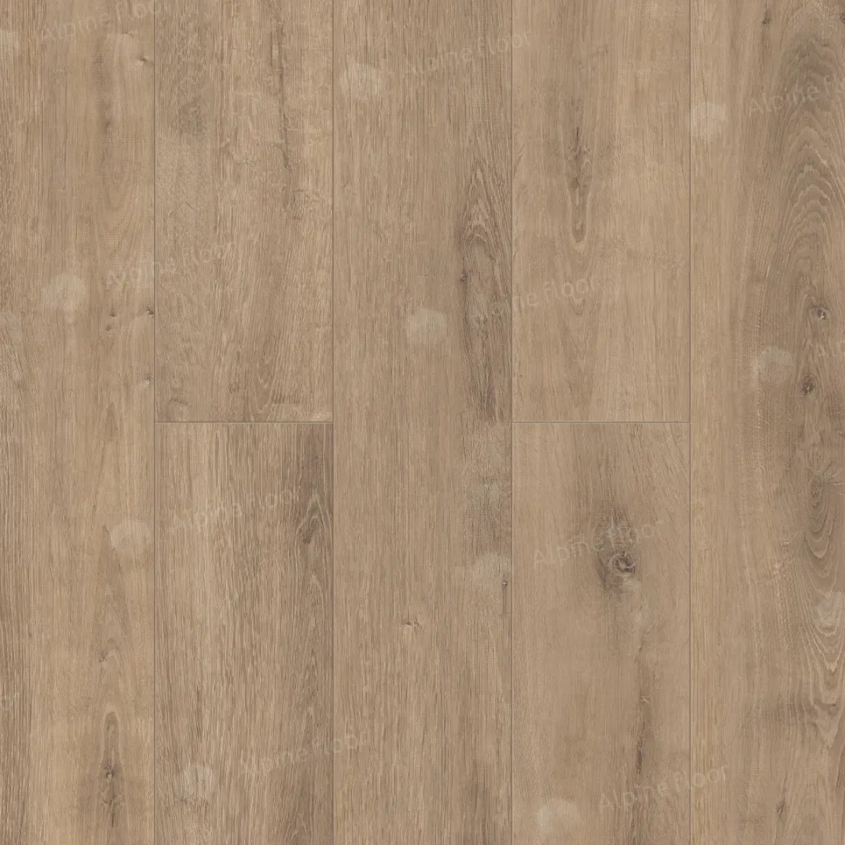 Ламинат Alpine Floor by Camsan Legno Extra Дуб Карамель L 1002 толщина 8 мм 33 класс Ламинат Alpine Floor by Camsan Legno Extra Дуб Карамель L 1002 толщина 8 мм 33 класс