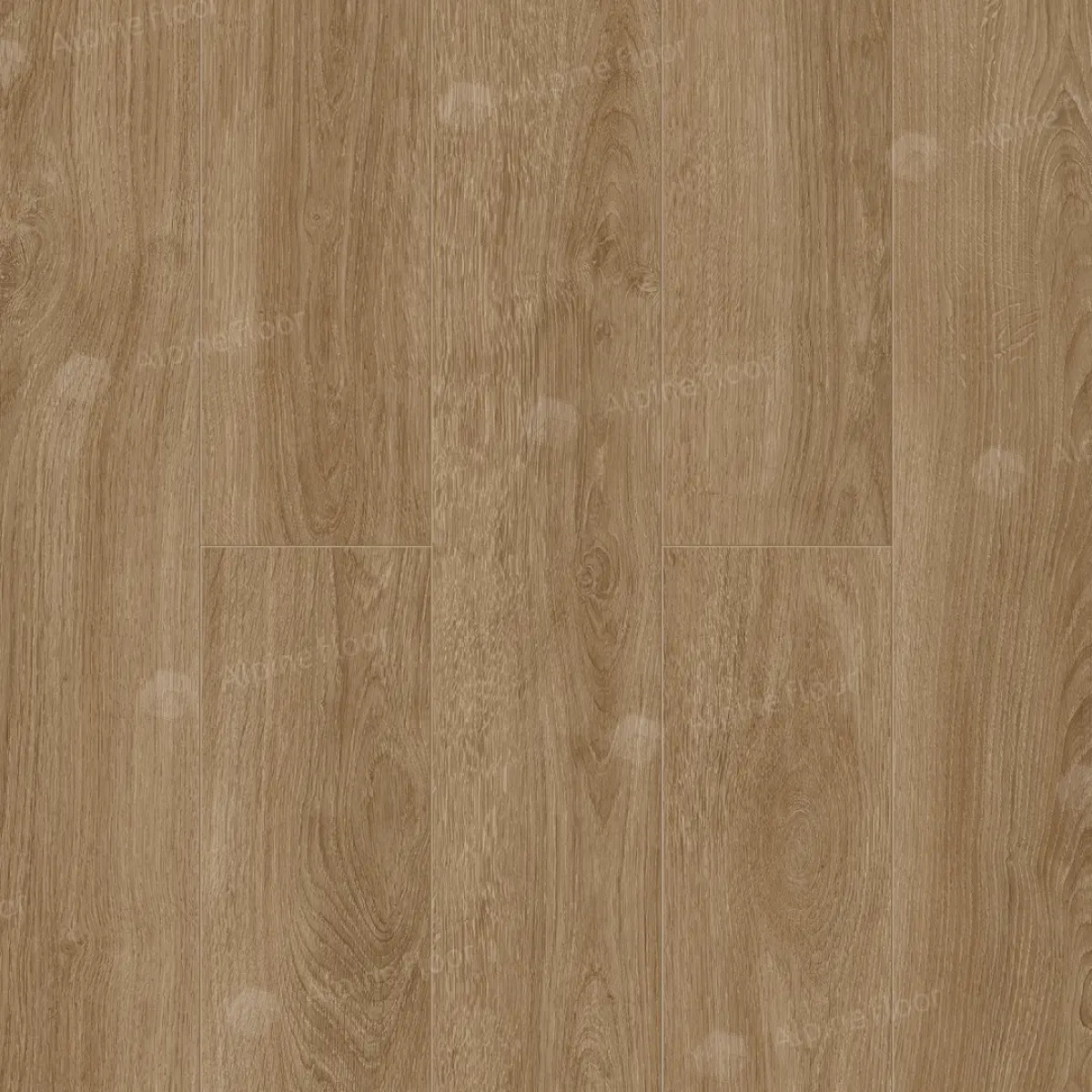 Ламинат Alpine Floor by Camsan Albero Дуб Шервуд А1005 толщина 10 мм 32 класс Ламинат Alpine Floor by Camsan Albero Дуб Шервуд А1005 толщина 10 мм 32 класс