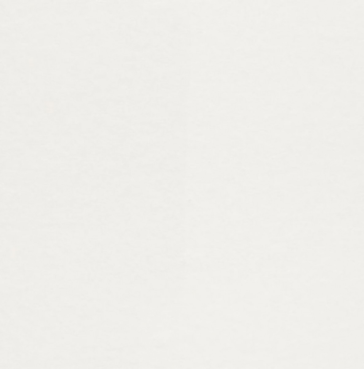 Обои Rasch Wallton 165814 Обои Rasch Wallton 165814